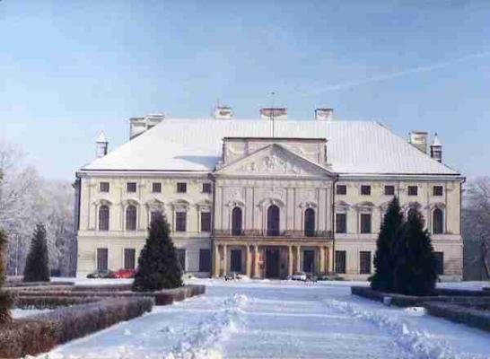 ארמון Sanguszkos ב Lubartow 
